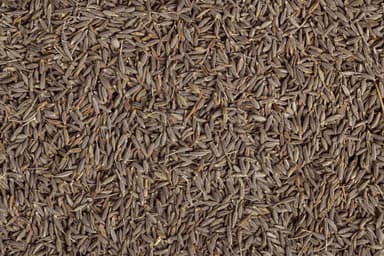 cumin