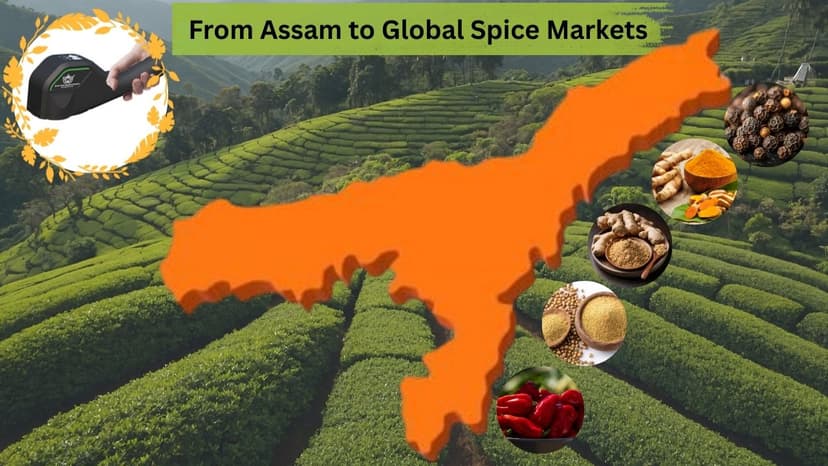 Assam Spices