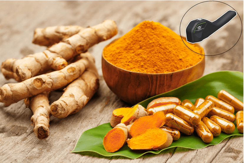 Lakadong Turmeric Testing with TARAM